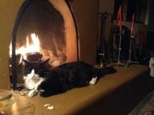 Jackson by the fire